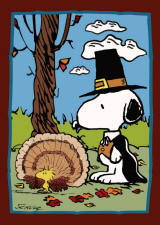 Snoopy | Thanksgiving snoopy, Charlie brown thanksgiving, Snoopy images