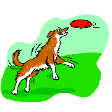 Borzoica.bmp (26678 bytes)