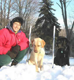 Lynn, Buddy Billy Joe